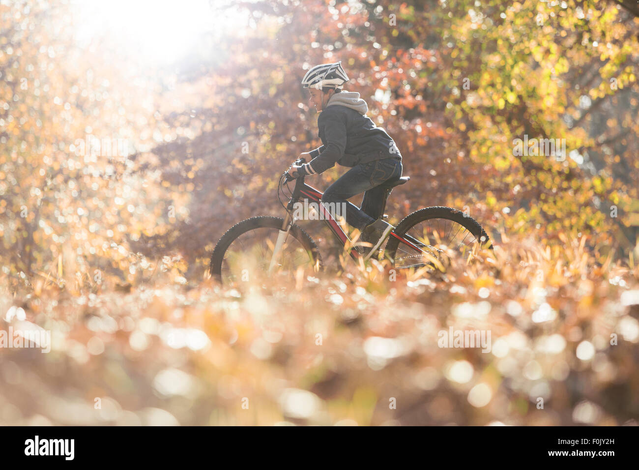 Jungen Fahrrad fahren in Wäldern mit Herbst Blätter Stockfoto