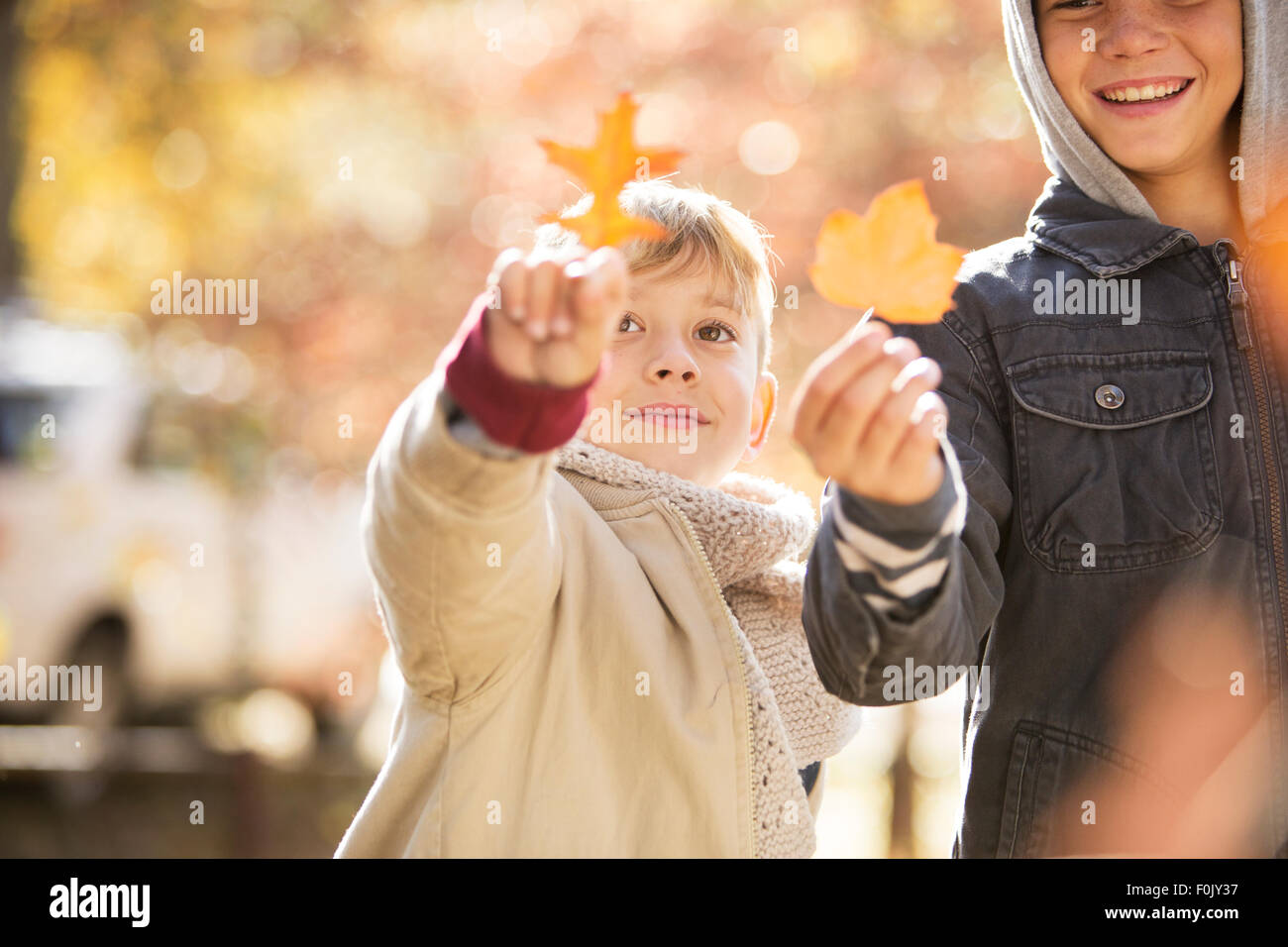 Jungs halten goldene Blätter im Herbst Stockfoto