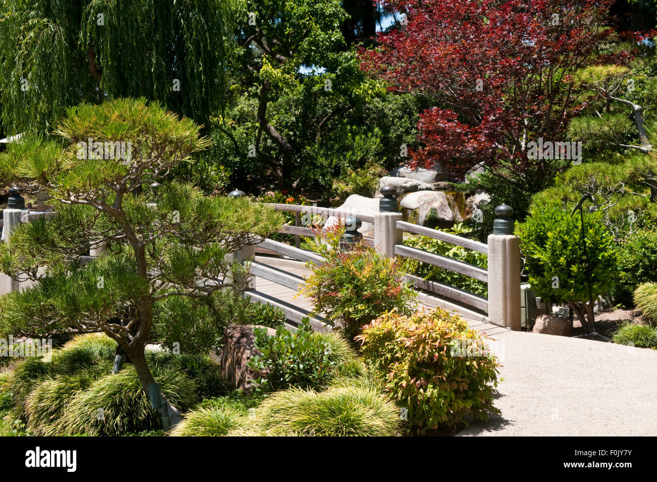 Der Earl Burns Miller japanische Garten auf dem Campus der California State University, Long Beach, Kalifornien Stockfoto