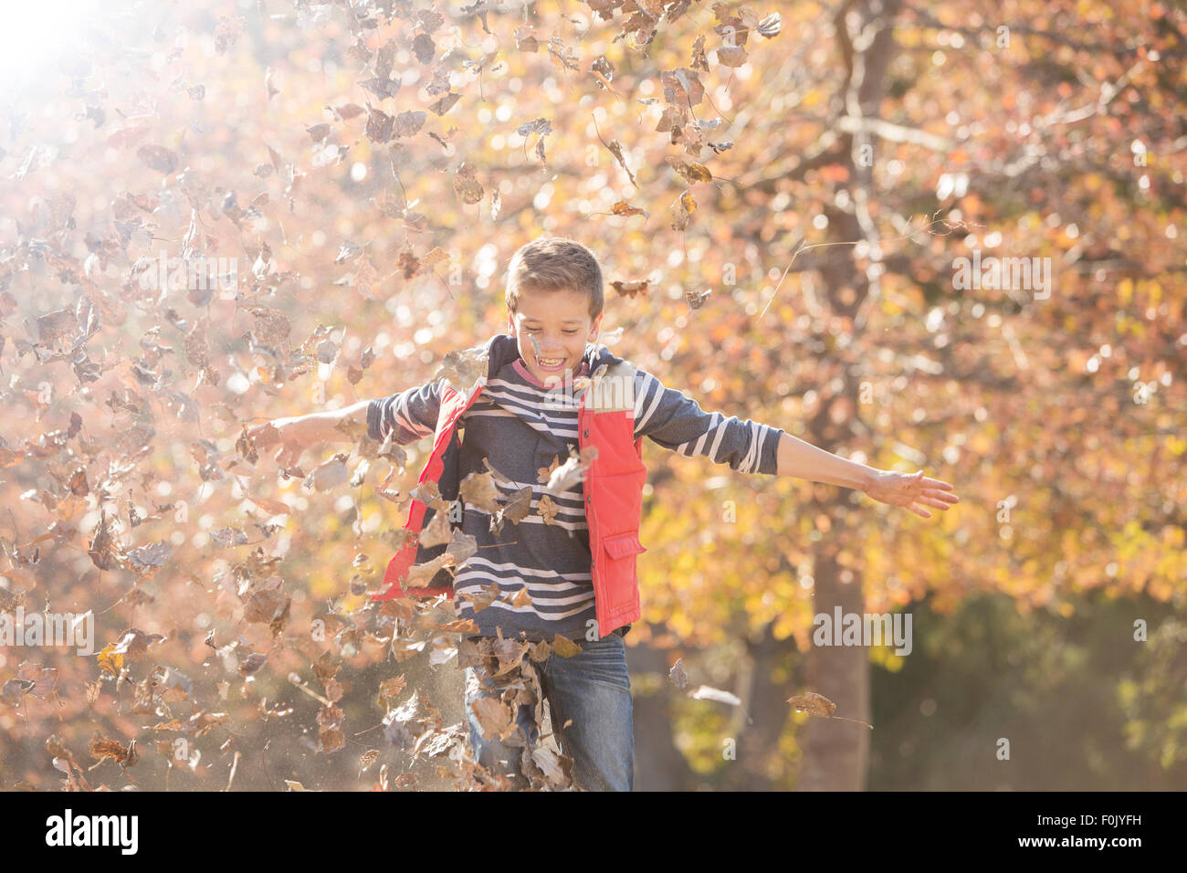Verspielte junge spielt im Herbstlaub Stockfoto