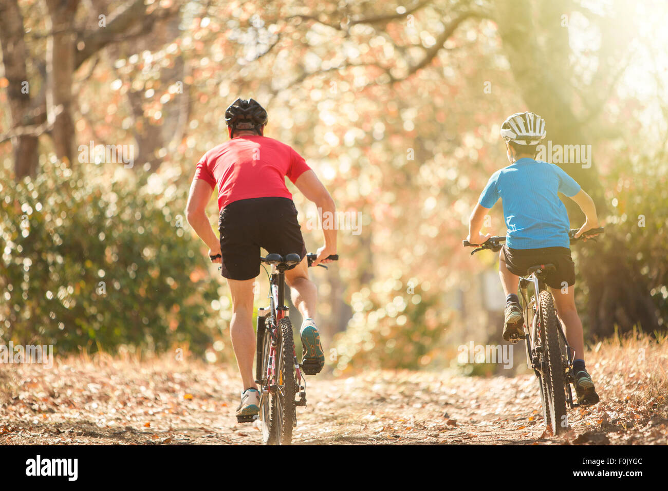 Vater und Sohn Mountainbiken auf Pfad im Wald Stockfoto