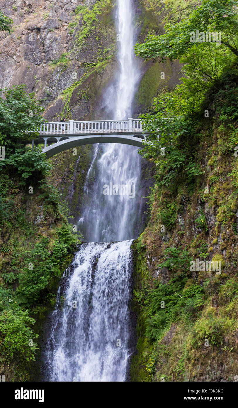 Eine Fußgängerbrücke wölbt über Multnomah Falls, sich auf der höchsten Wasserfälle in den USA, in der Nähe von Portland, Oregon Stockfoto