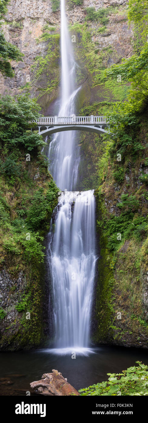 Ein vertikales Panorama Multnomah Falls, die höchsten Wasserfälle in Oregon und eine der höchsten in den USA Stockfoto