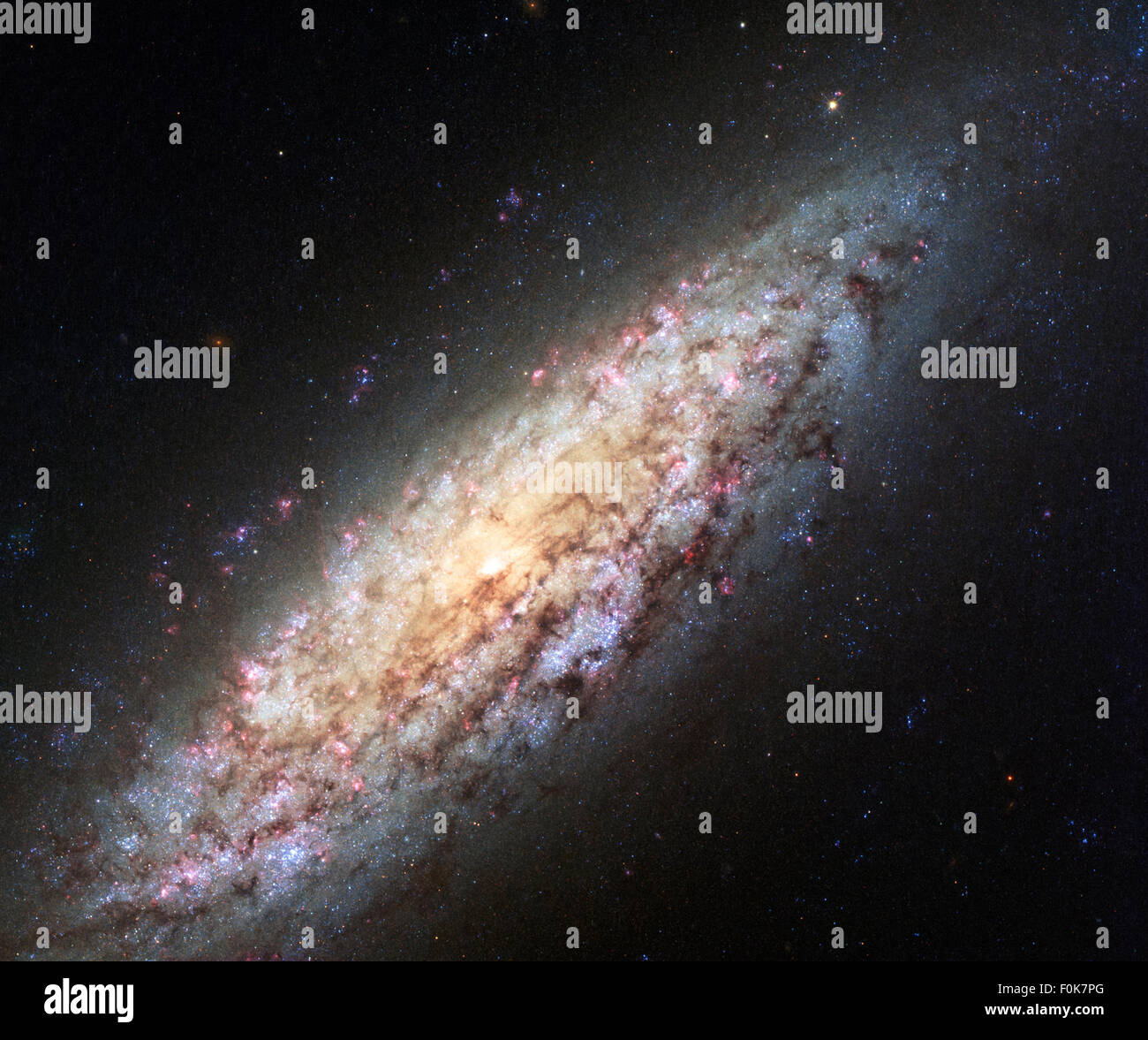 Die Galaxie NGC 6503 befindet sich am Rande der Local Void, einer riesigen Region ohne Sterne oder Galaxien. Dieser einzigartige Ort macht NGC 6503 zu einem faszinierenden Thema der galaktischen Bildung und kosmischen Strukturen. Stockfoto