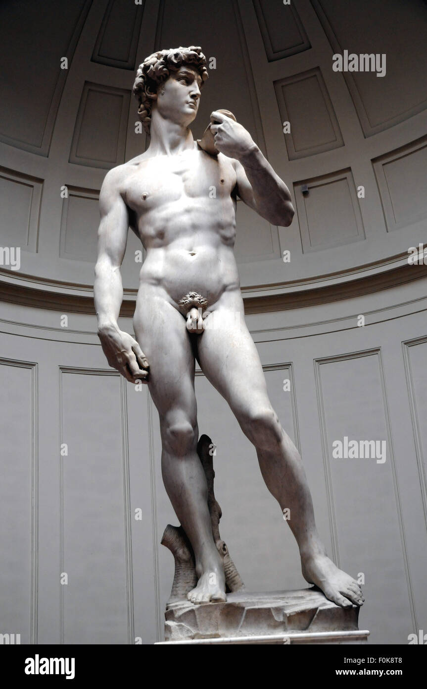 Michelangelos Welt berühmte Statue des "David" in der Galleria Dell' Accademia, Florenz, Italien. Stockfoto