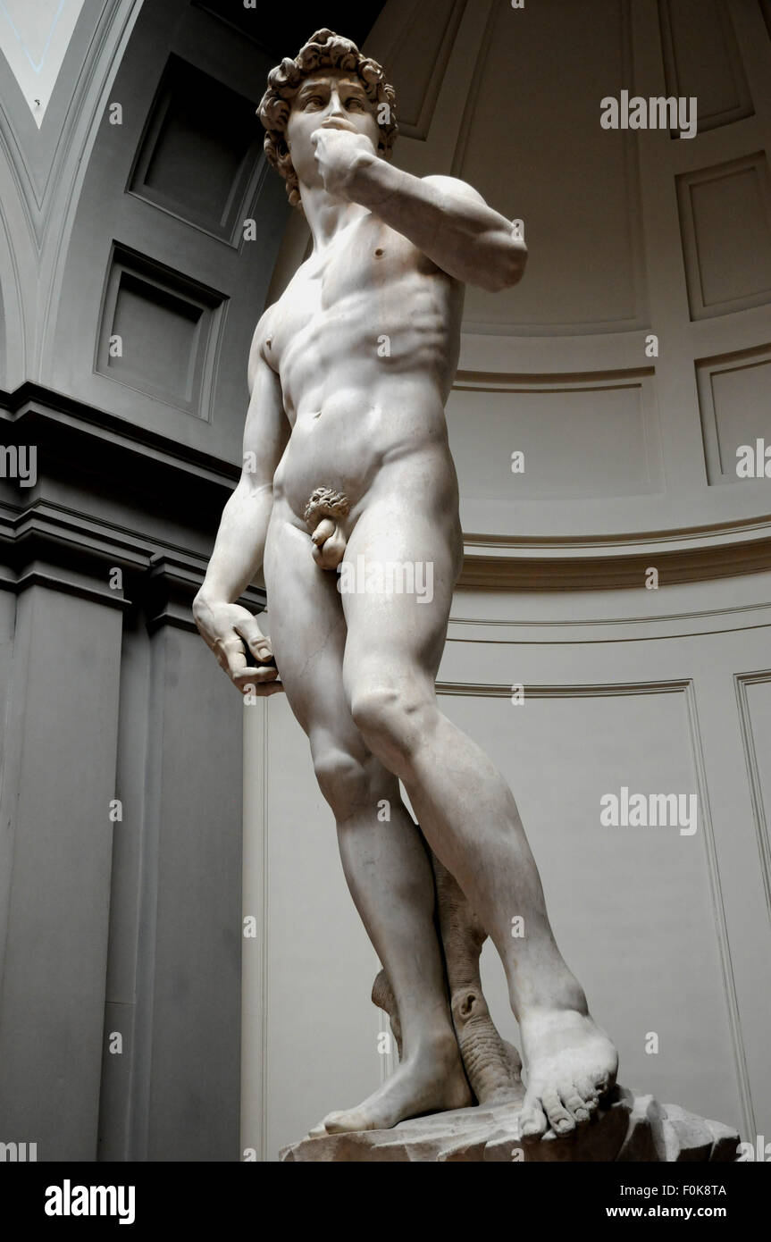 Michelangelos Welt berühmte Statue des "David" in der Galleria Dell' Accademia, Florenz, Italien. Stockfoto