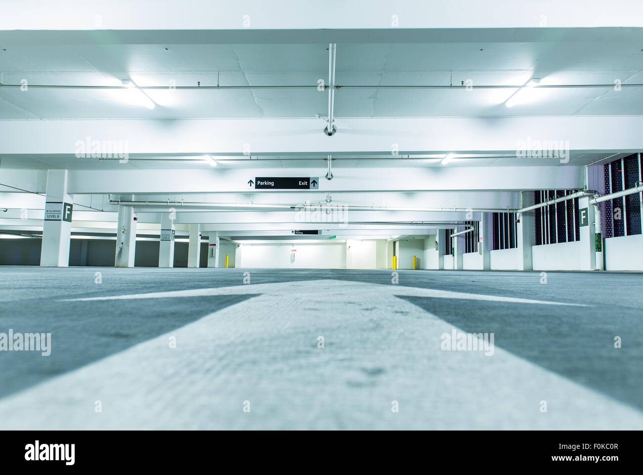 Leere öffentliche Parkplätze in der Nacht und große gerader Pfeil auf einem Pflaster. Stockfoto