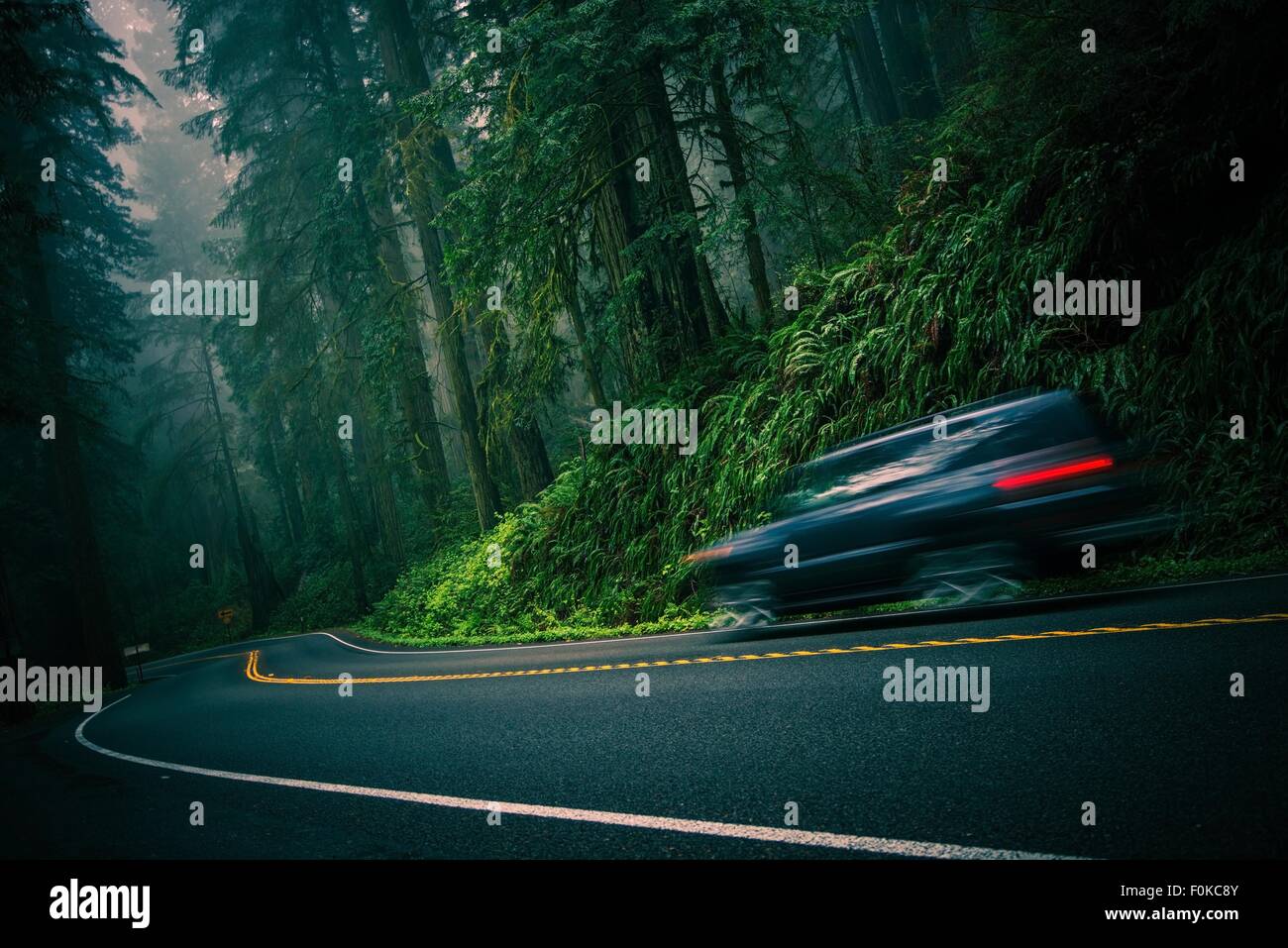 California 101 neblig Redwood Highway und Beschleunigung Auto. Crescent City, Kalifornien, USA. Stockfoto