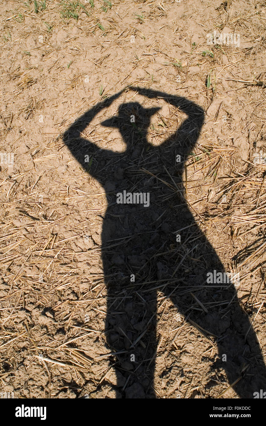 Schattenspiel Mann mit Hut Stockfoto