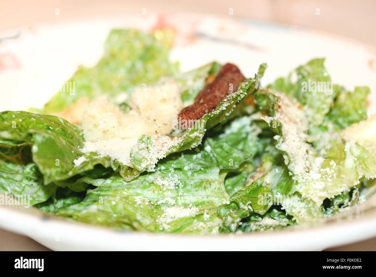 Teller mit frischen Ceasar Salat Stockfoto