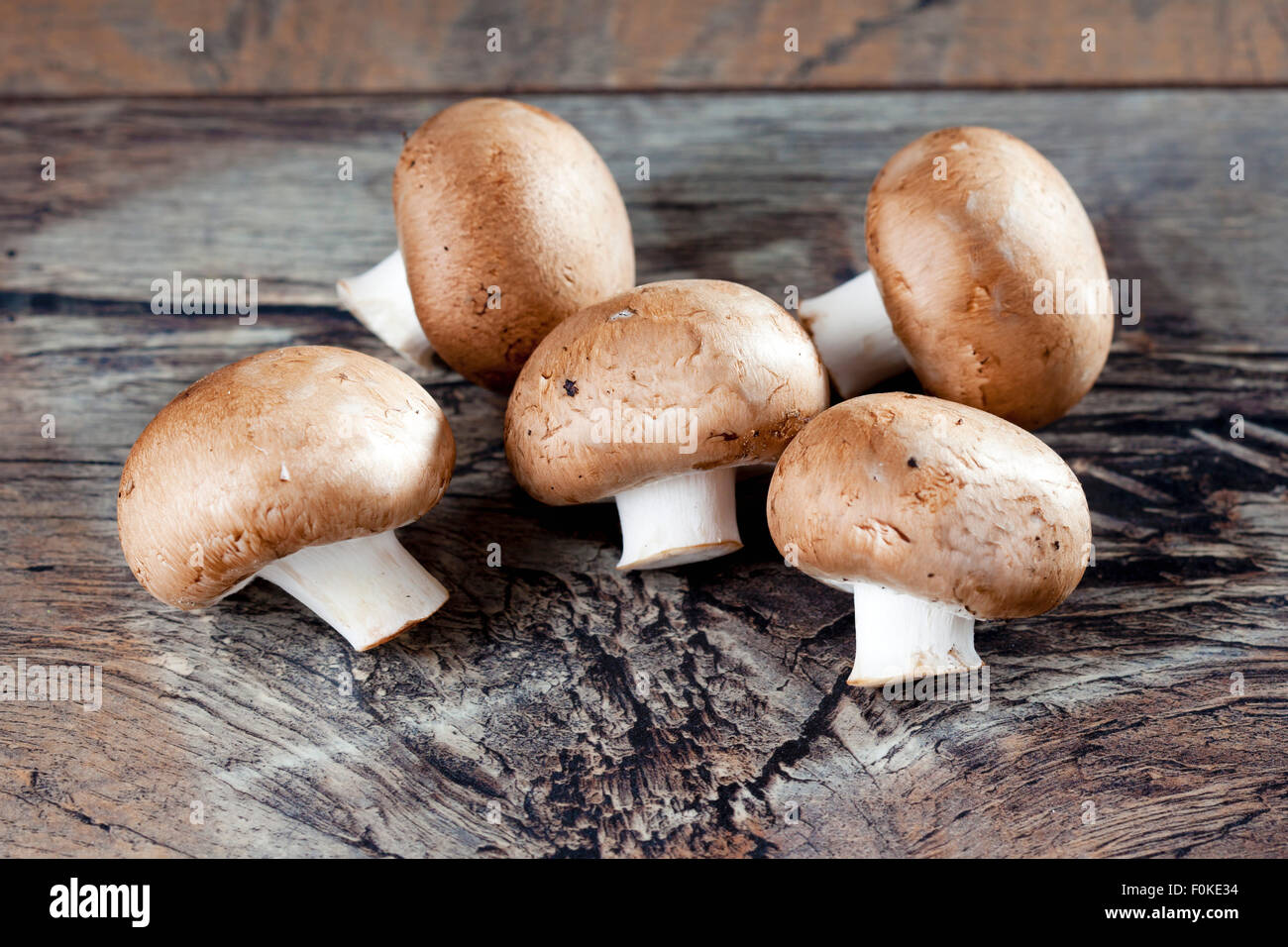 Fünf Crimini Pilze auf Holz Stockfoto