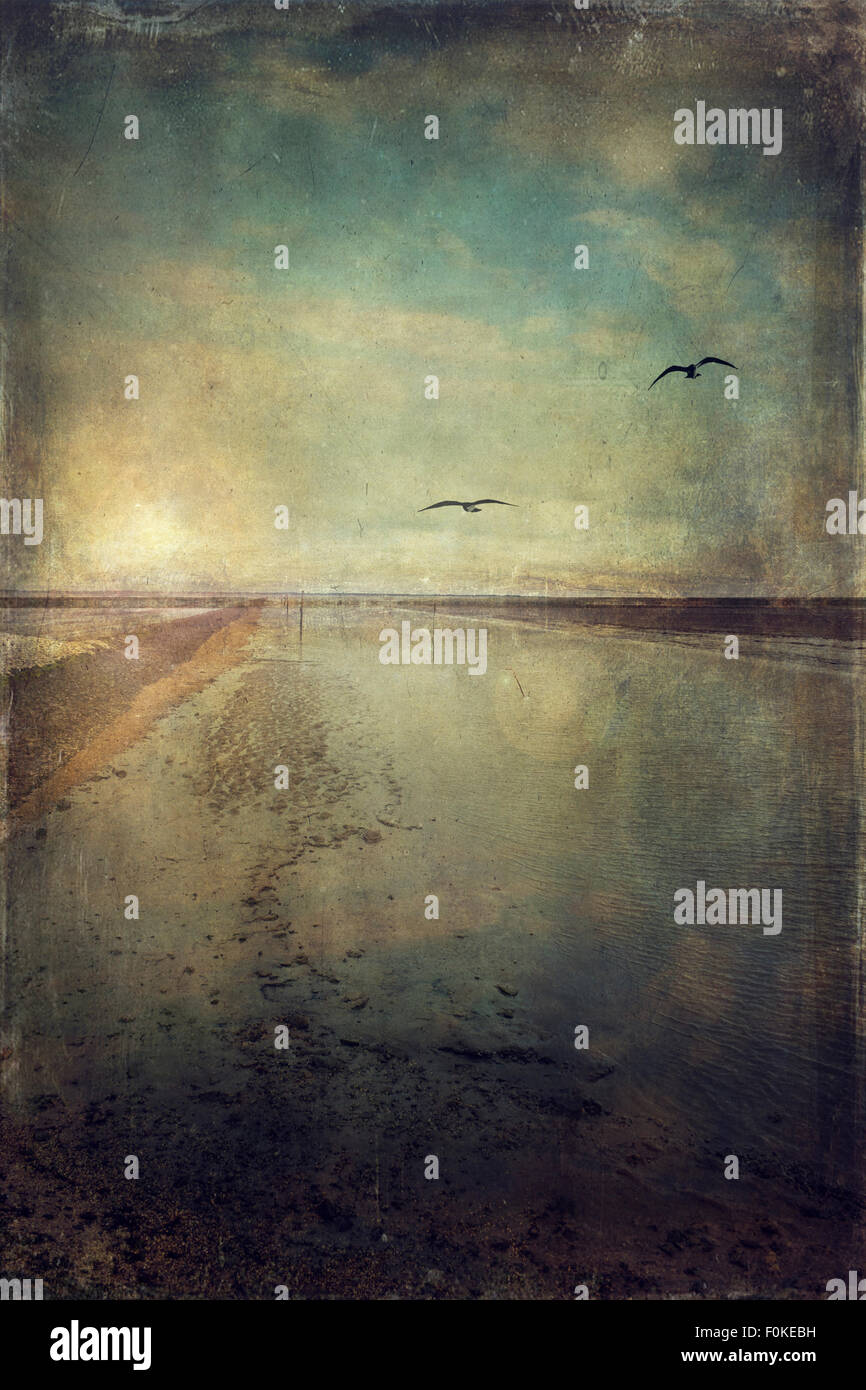 Deutschland, Wattenmeer bei Ebbe und fliegende Vögel, strukturierte Effekt Stockfoto