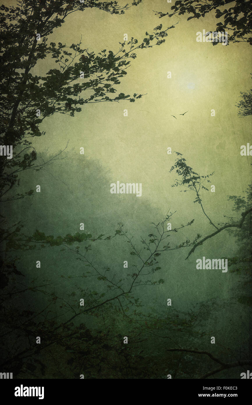 Nebligen Wald mit fliegenden Vögel und Bäume, Struktureffekt Stockfoto