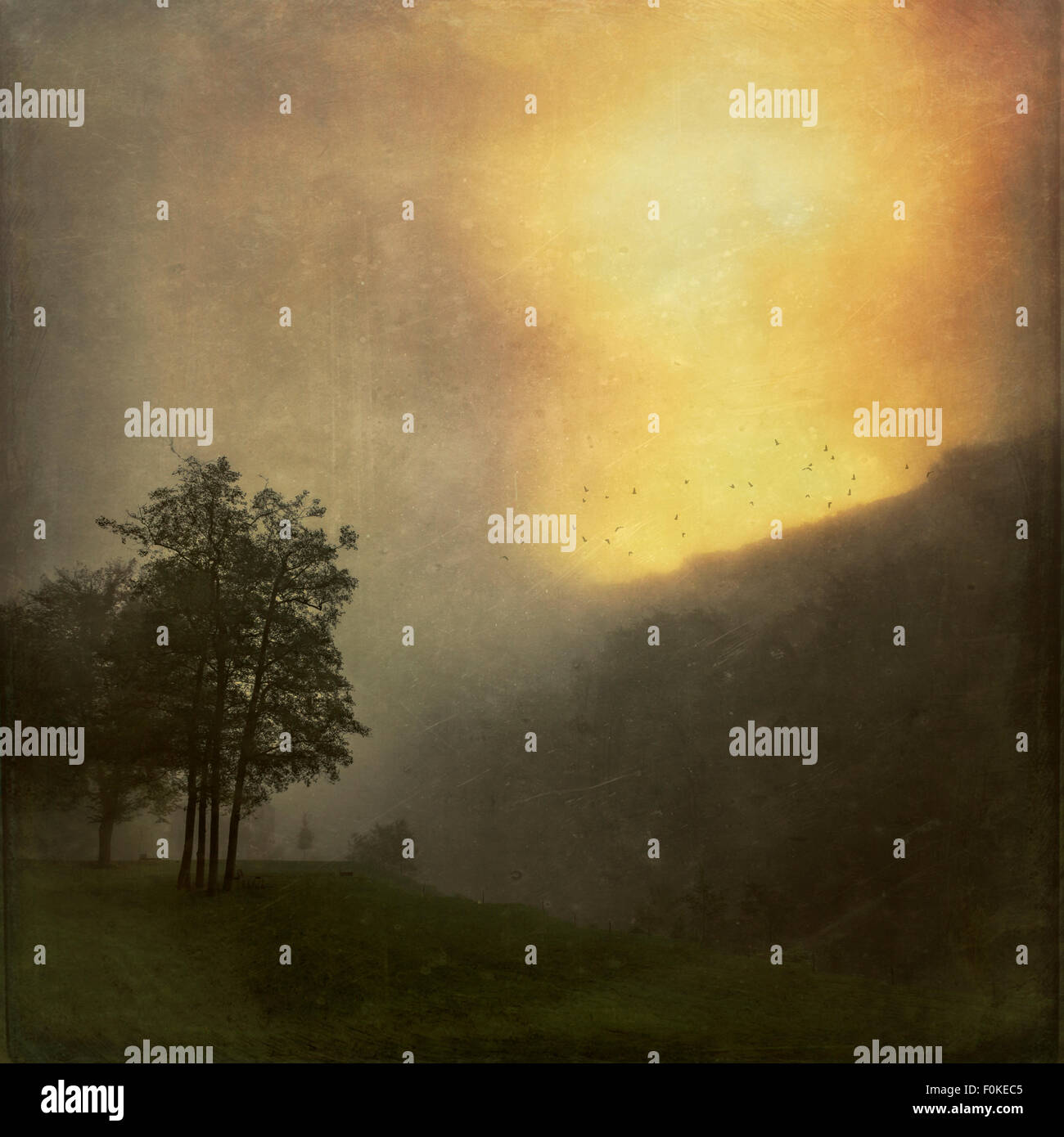 Landschaft bei Sonnenaufgang im Nebel, Struktureffekt Stockfoto