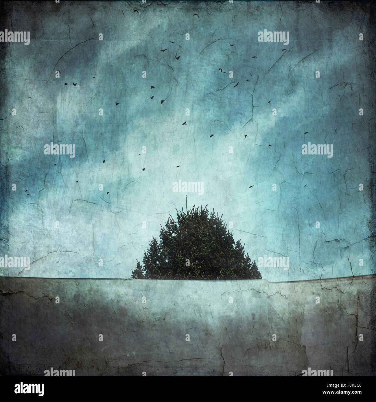 Baumkrone und Dach mit fliegenden Vögel, Struktureffekt Stockfoto