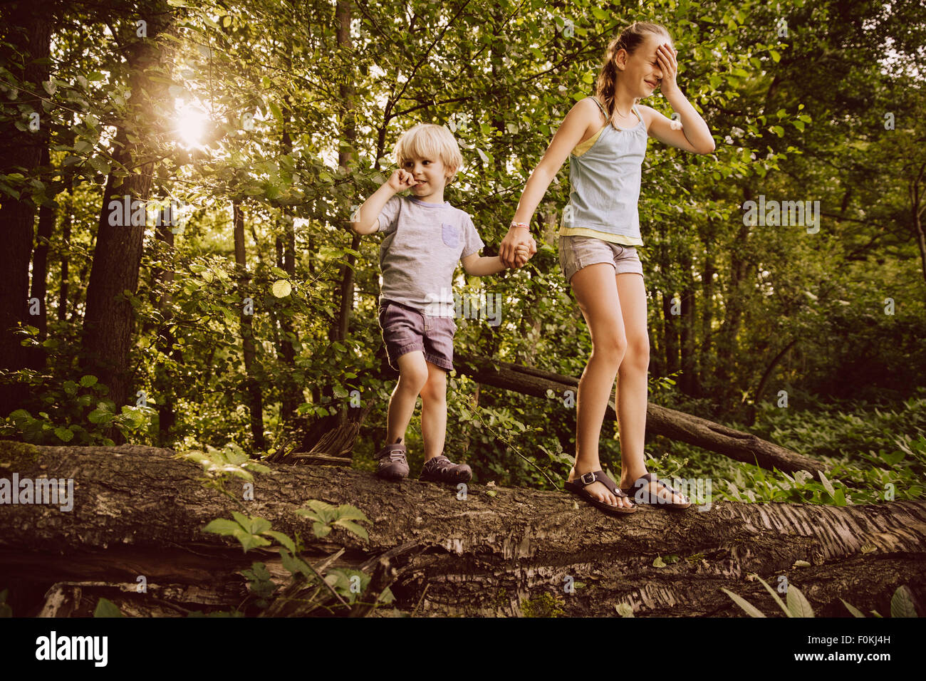 Kleine Jungen und Mädchen balancieren auf umgestürzten Baum im Wald Stockfoto