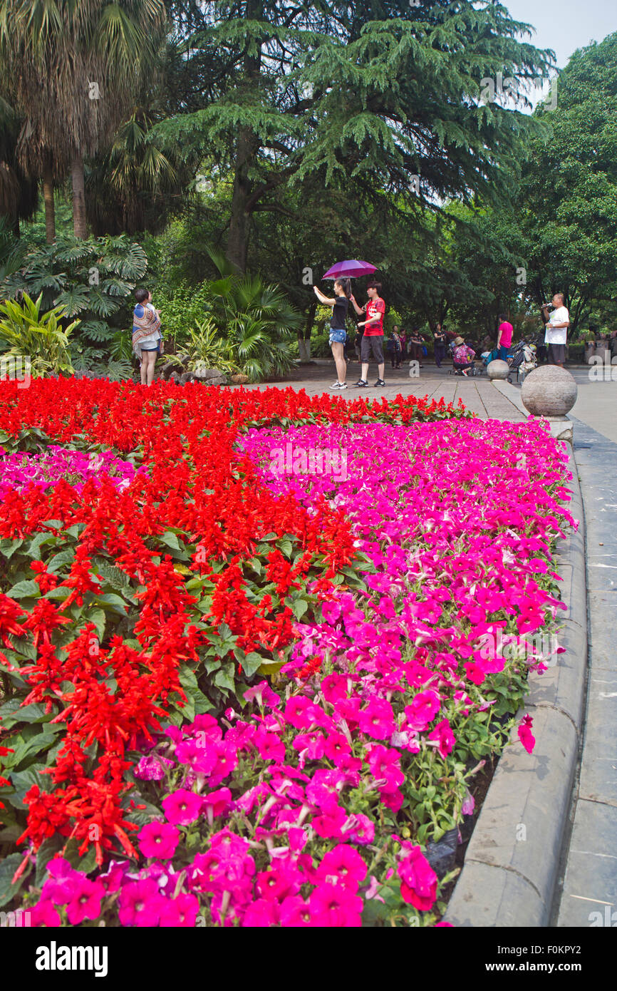 Blumen in sieben Sterne Park Stockfoto