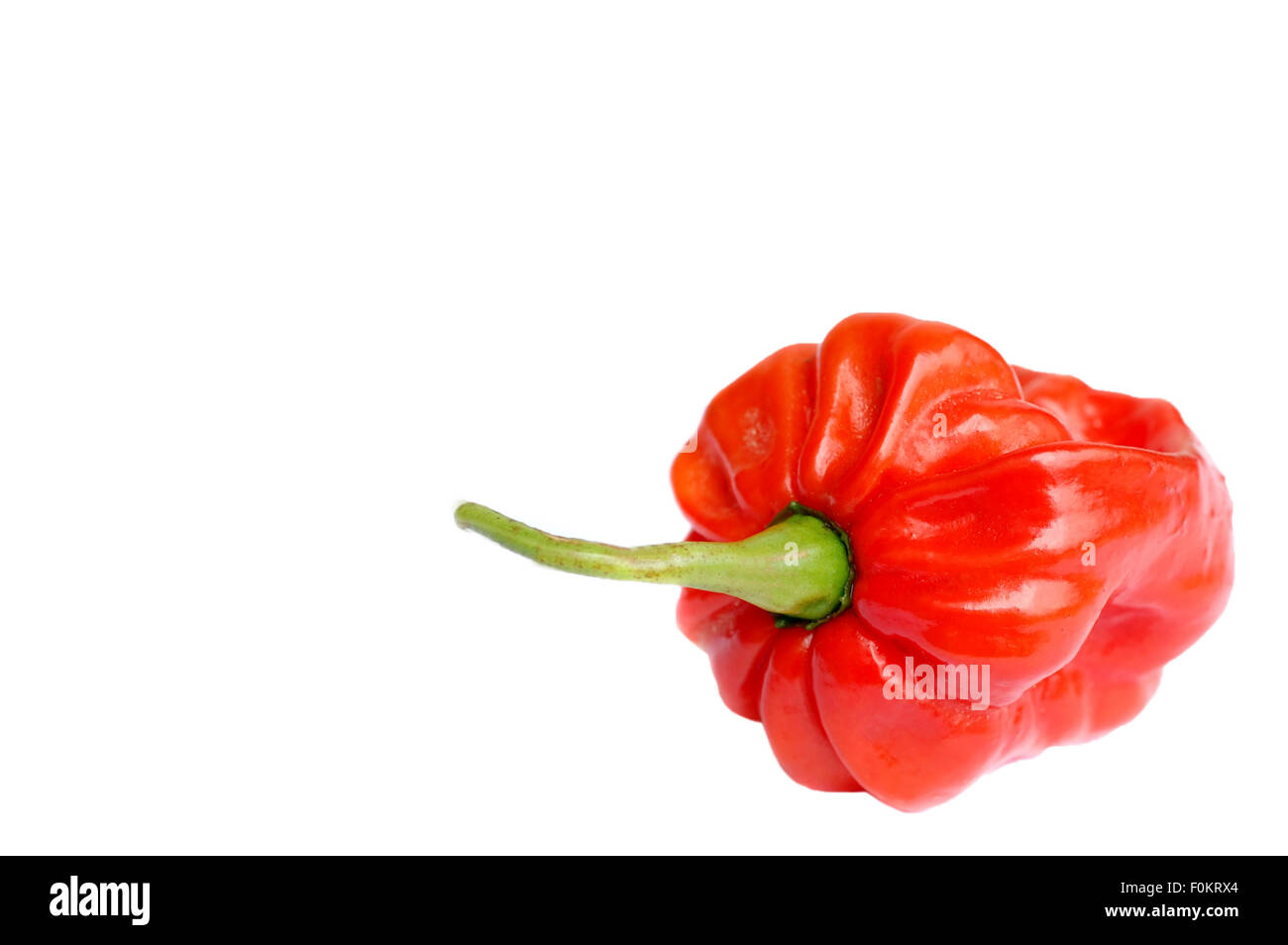 Makroaufnahme einer Paprika, isoliert auf weiss Stockfoto