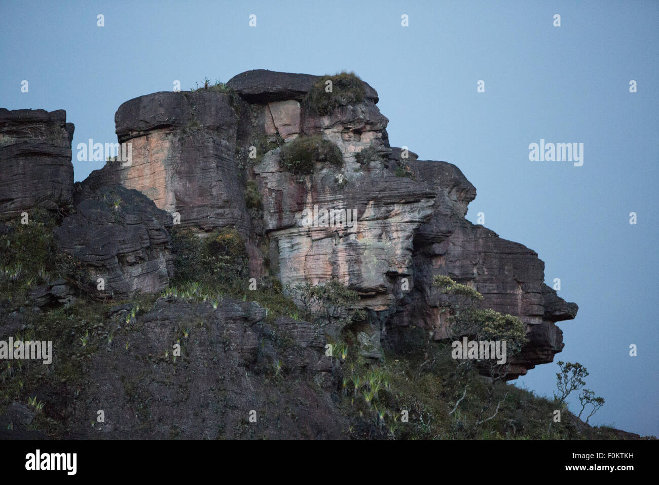 Landschaft an der Spitze des Mount Roraima. Vulkanland mit Affe Gesichtsform. Gran Sabana. Venezuela-2015. Stockfoto