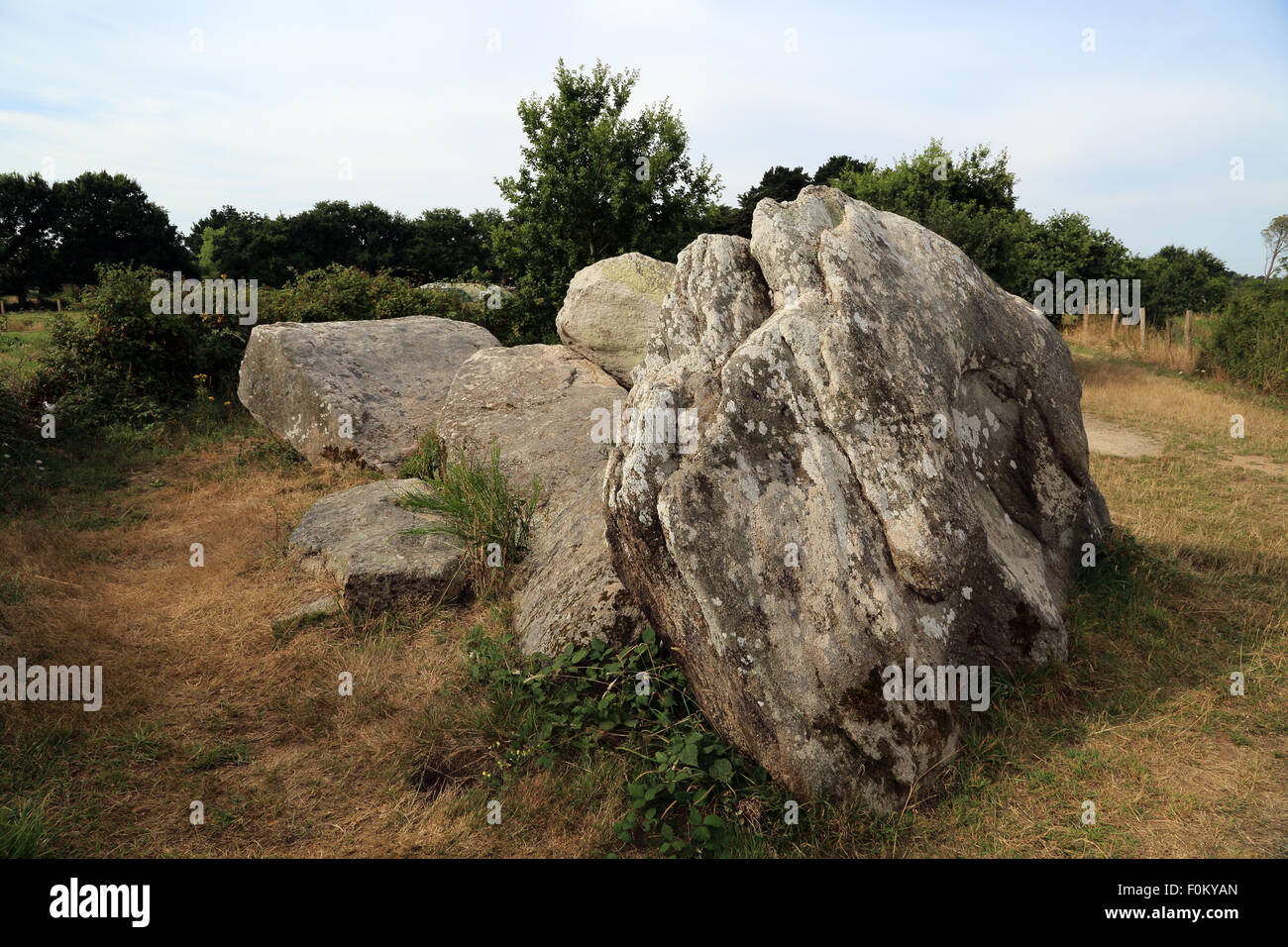 Dolmen bei Kervernet, Park Naturel Regional de Briere, Guerande, Loire Atlantique, Frankreich, Stockfoto