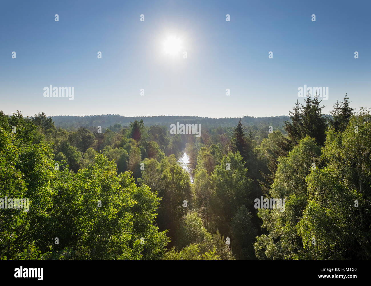 Schrems moor, Schrems, Waldviertel, Niederösterreich, Österreich Stockfoto