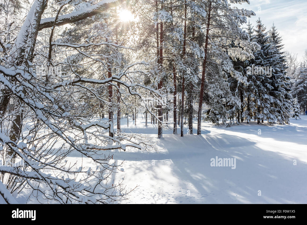 Russland. Zarskoje Selo. Winter-Ansicht Ekaterinenskaya Park. Winter im Park Ekaterinenskaya. Catherine Park-Winter-Look. Stockfoto