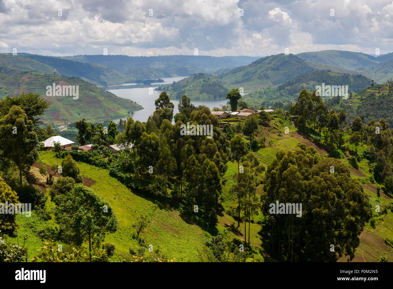 Mit Blick auf Lake Bunyonyi, Uganda, Afrika Stockfoto