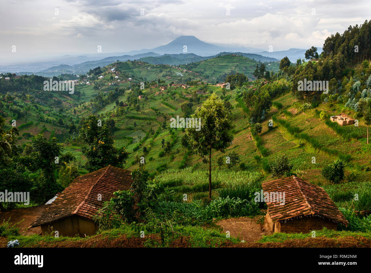 Blick auf den Virunga, Ruanda, Afrika Stockfoto