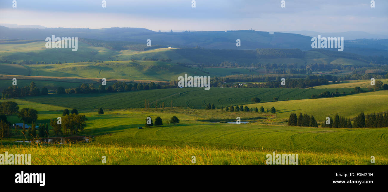 Midlands Meander, Kwazulu Natal, Südafrika Stockfoto