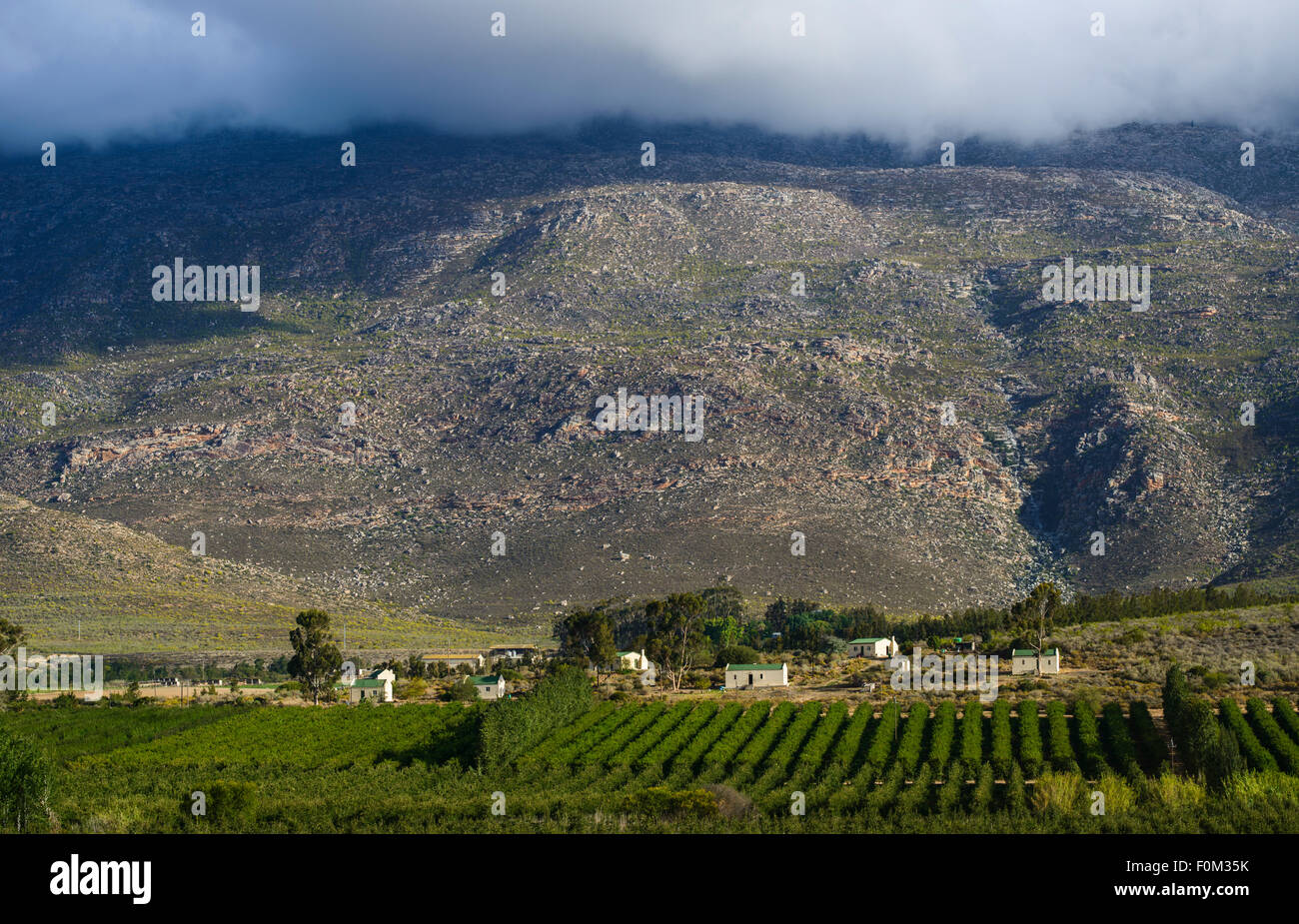 Weingüter der kleinen Karoo, Südafrika Stockfoto