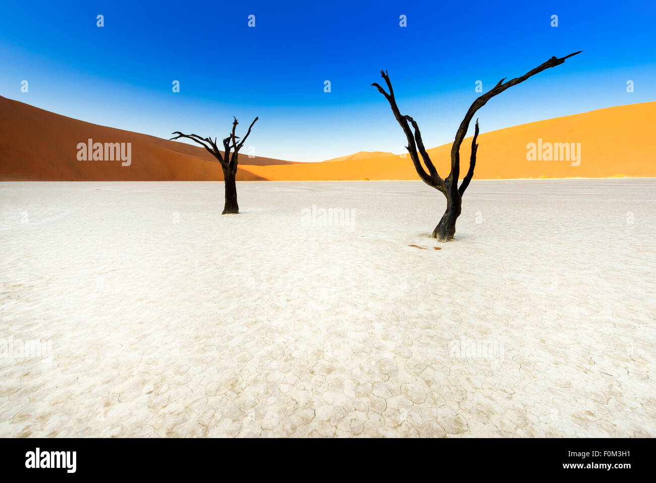 Die roten Dünen von Sossusvlei und die Toten Bäume Deadvlei, Namibia Stockfoto