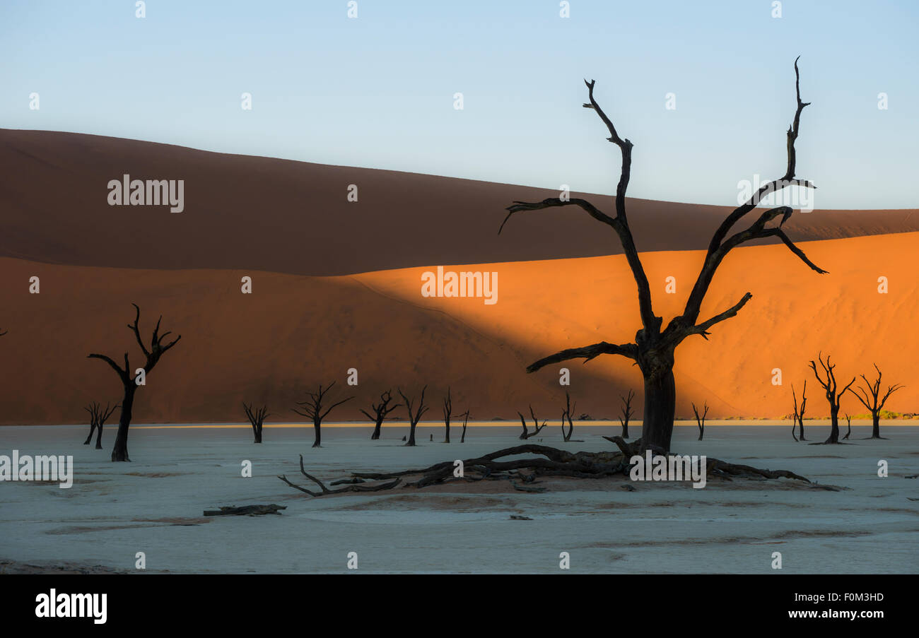 Die roten Dünen von Sossusvlei und die Toten Bäume Deadvlei, Namibia Stockfoto