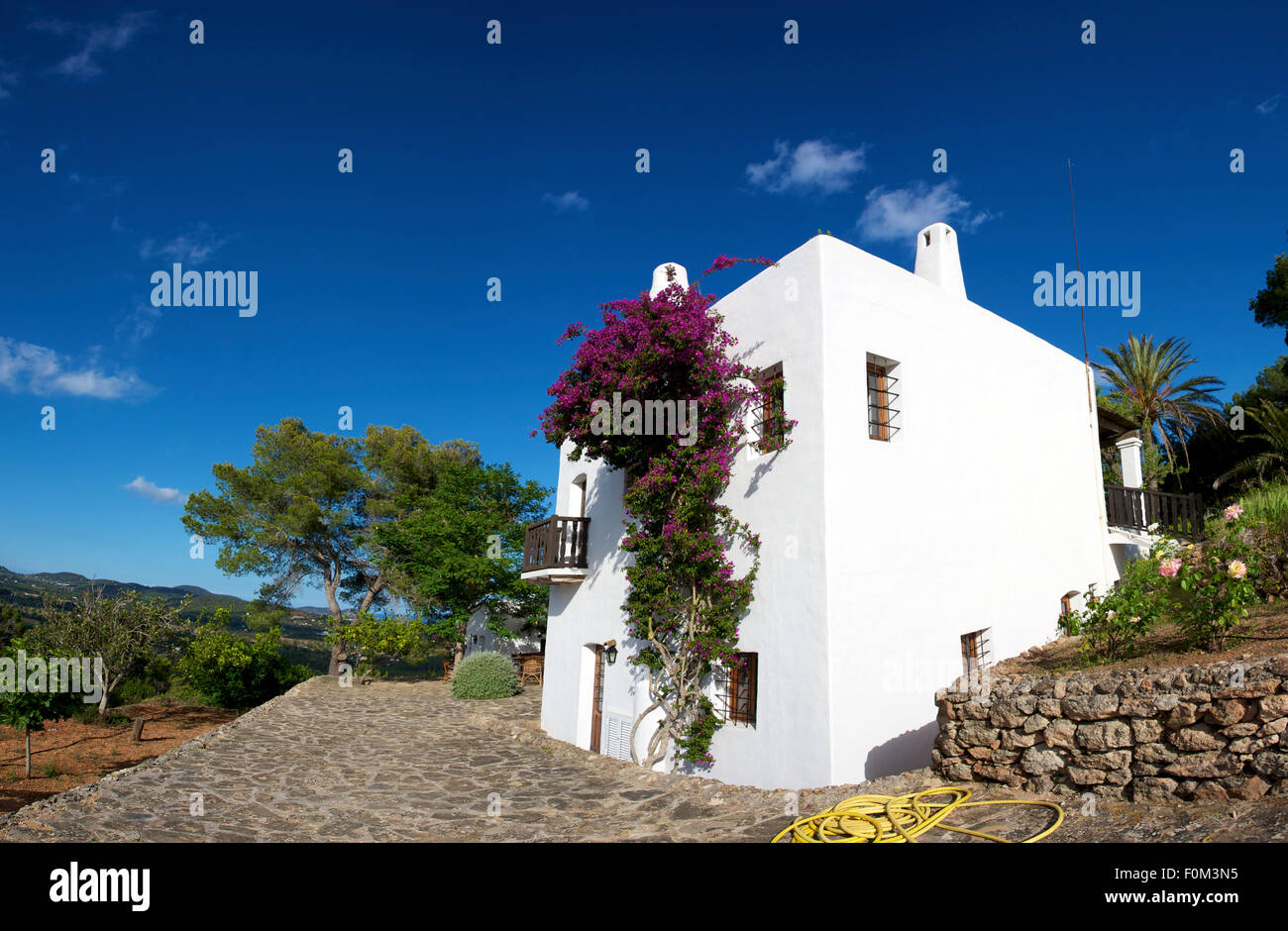 Mittelmeer-Haus auf Ibiza und die Natur rund um Stockfoto
