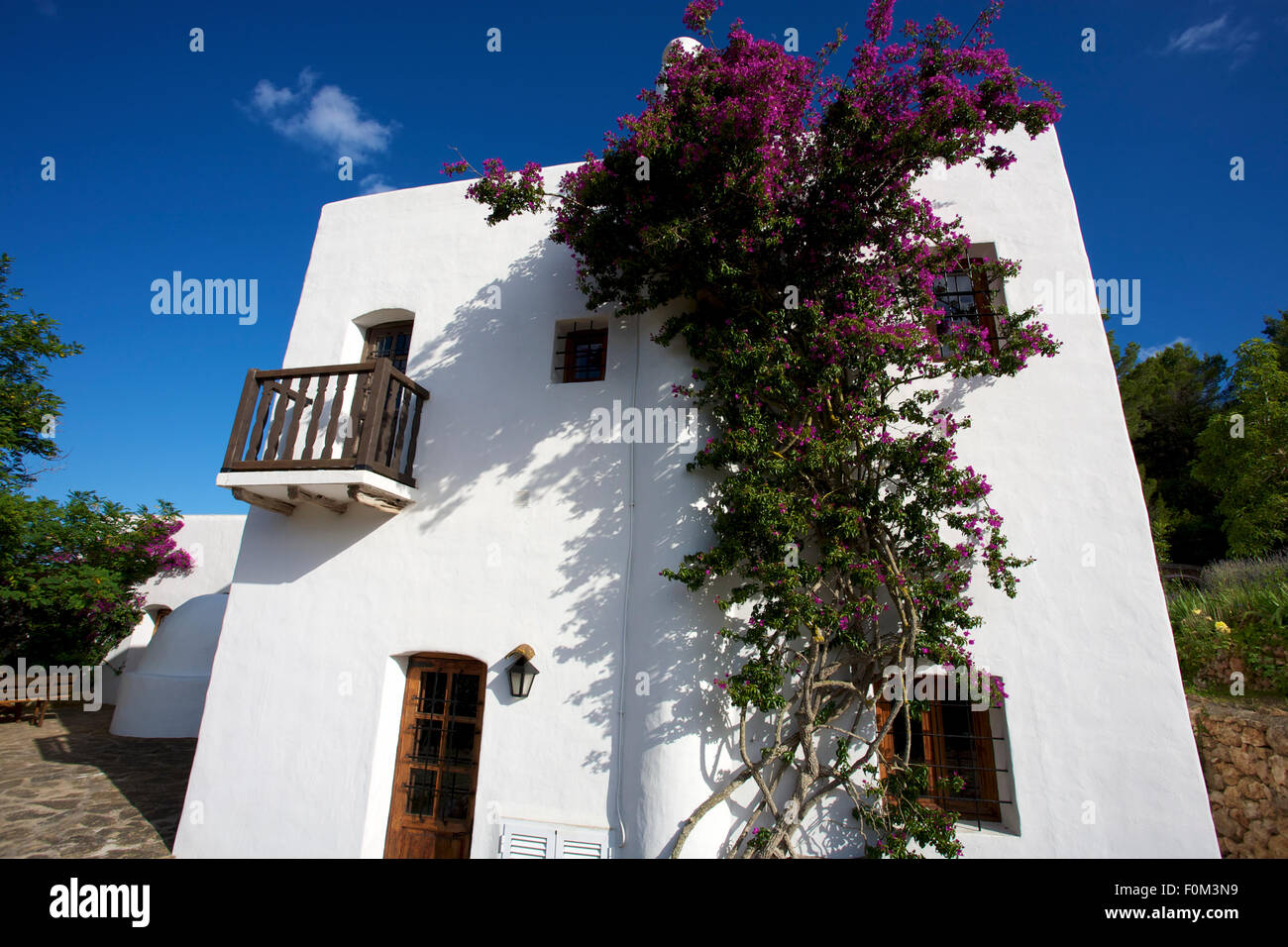 Mittelmeer-Haus auf Ibiza und die Natur rund um Stockfoto