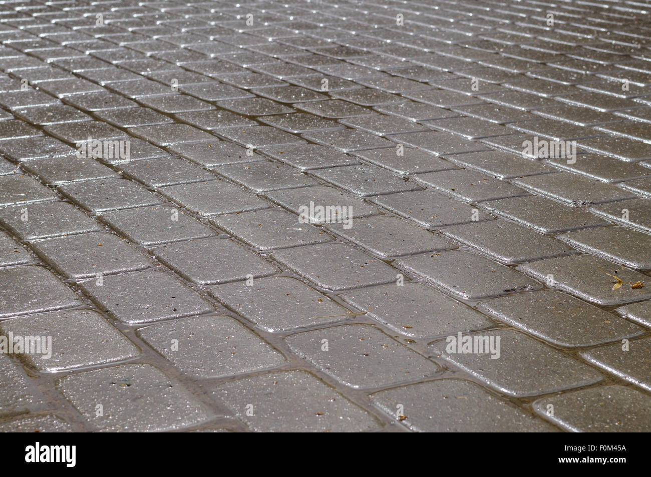 Glänzend nasse rechteckige Fliesen Steinpflaster in diagonalen layout Stockfoto