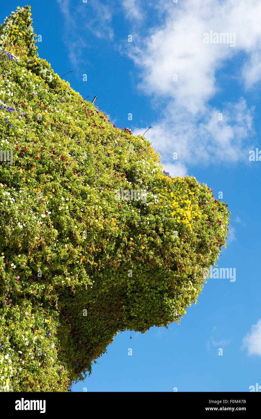 Detail der riesigen Blumen Skulptur 'Welpen' am 6. März 2014 in Bilbao, Spanien. Der Hund ist ein Werk von Jeff Koons Stockfoto