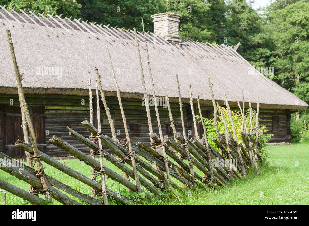 Altes Holzhaus mit Reetdach und Schornstein, Hecke im Vordergrund Stockfoto