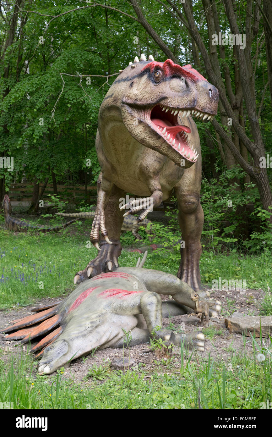Allosaurus ausgestorben Theropode fleischfressender Dinosaurier von Late Jurassic Dinosaurier Park Stockfoto