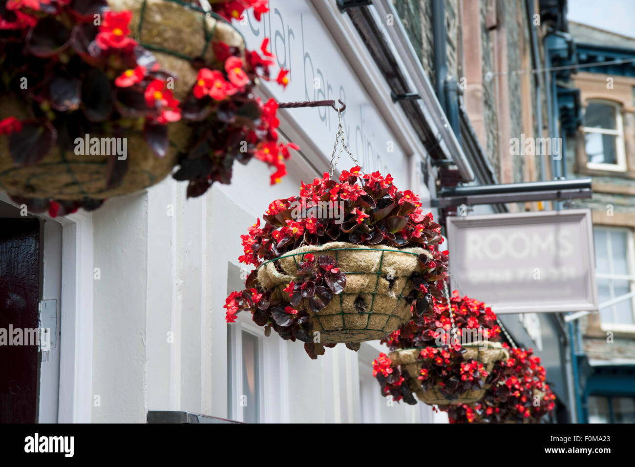 Ausstellung von Begonias im Korb über einem Geschäft Shop im Sommer England UK Vereinigtes Königreich GB Großbritannien Stockfoto