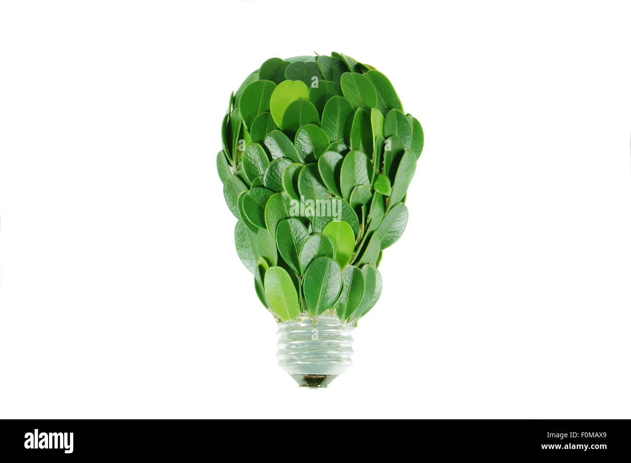 Glühbirne, bedeckt mit grünen Blättern, Ökologie-Konzept Stockfoto