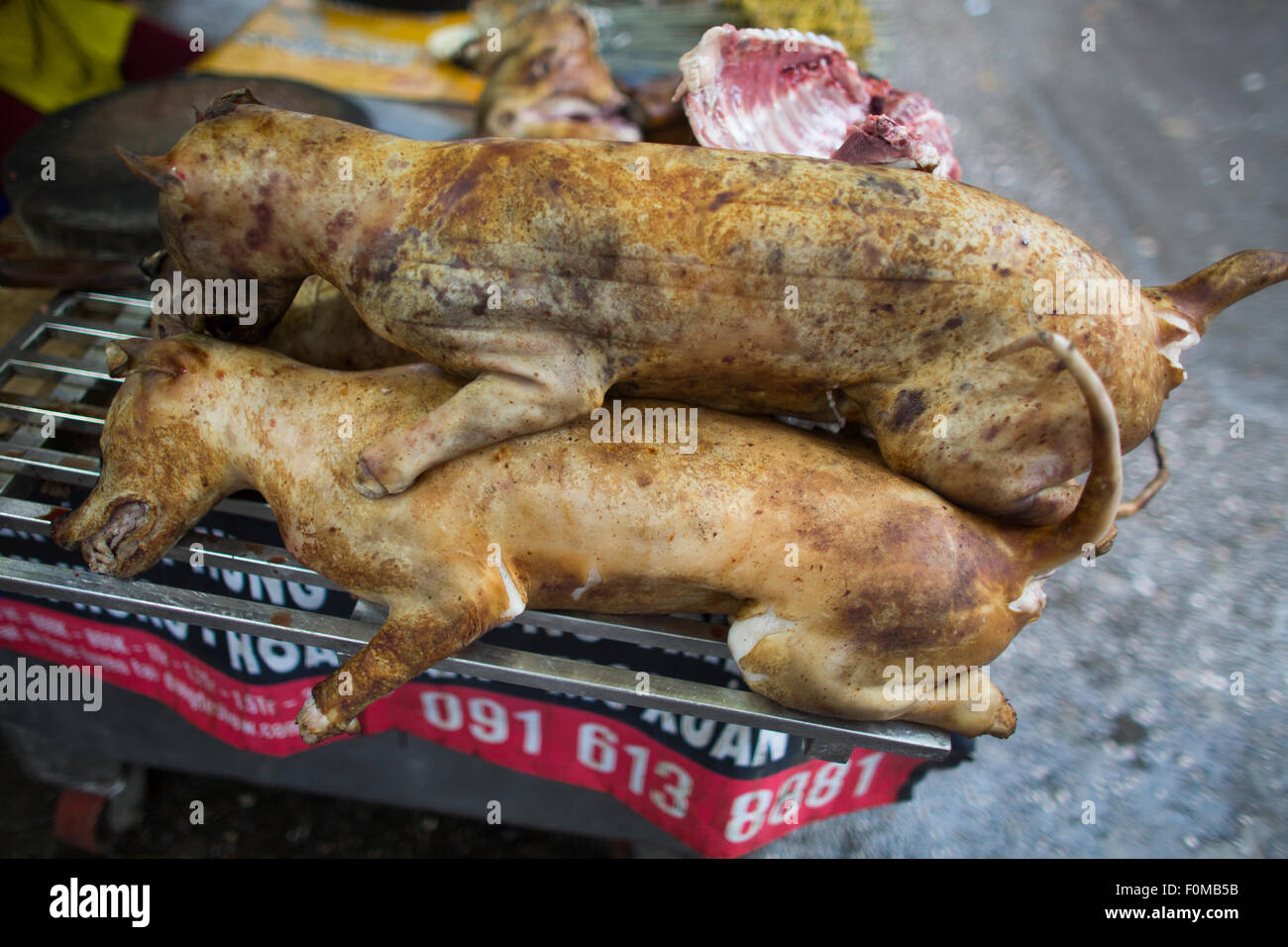Hund ist eine Delikatesse in Vietnam Stockfoto