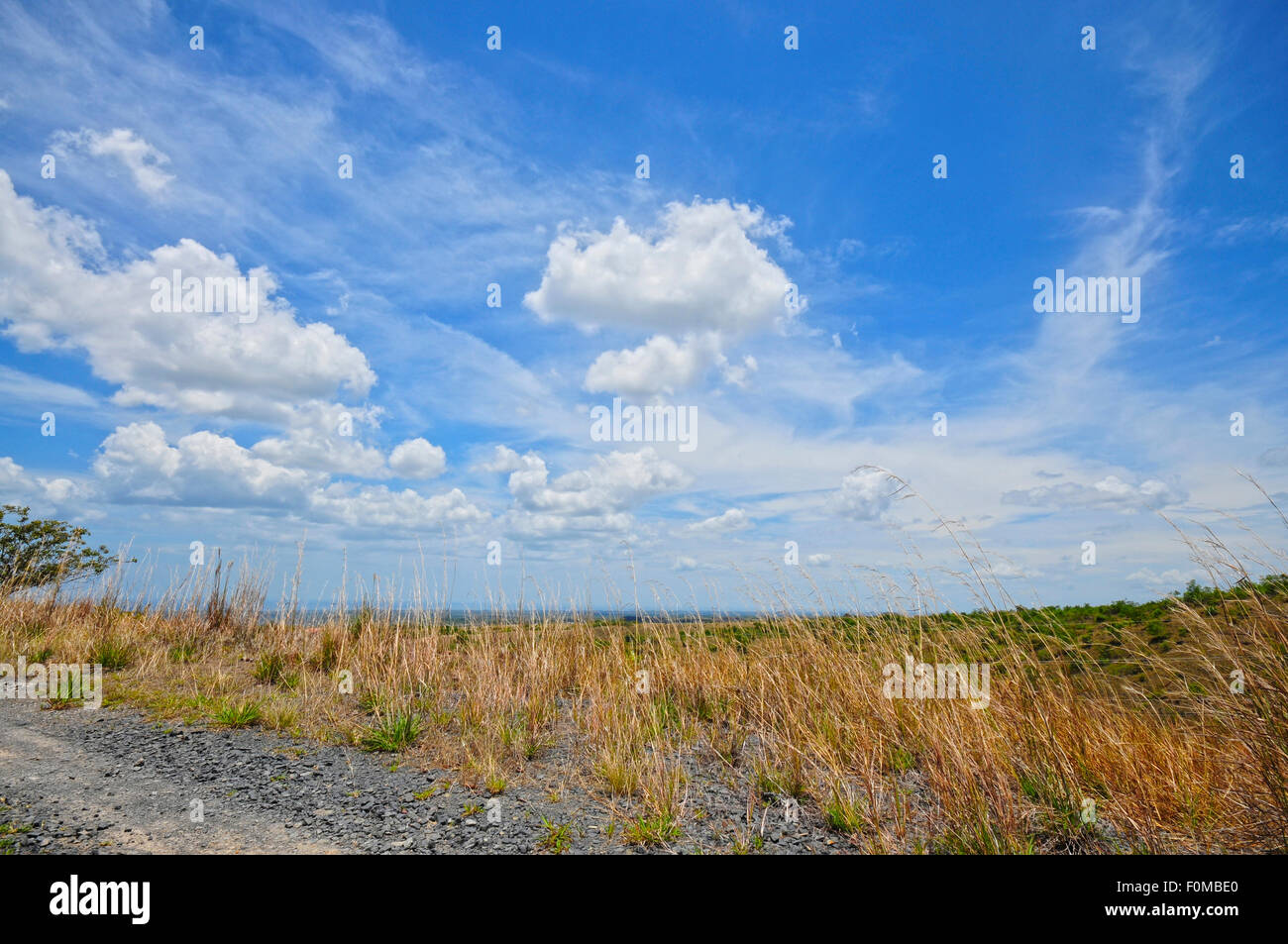 Blick auf schöne Mouintain mit hohe Gräser und strahlend blauer Himmel mit geschwollenen Wolken Stockfoto