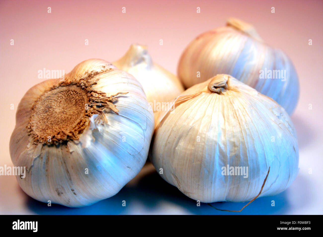 Ein paar Knoblauchknollen isoliert auf weiss Stockfoto