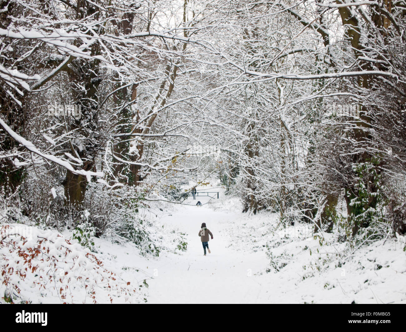 Ein kleiner Junge läuft durch englische Wälder im Schnee Stockfoto