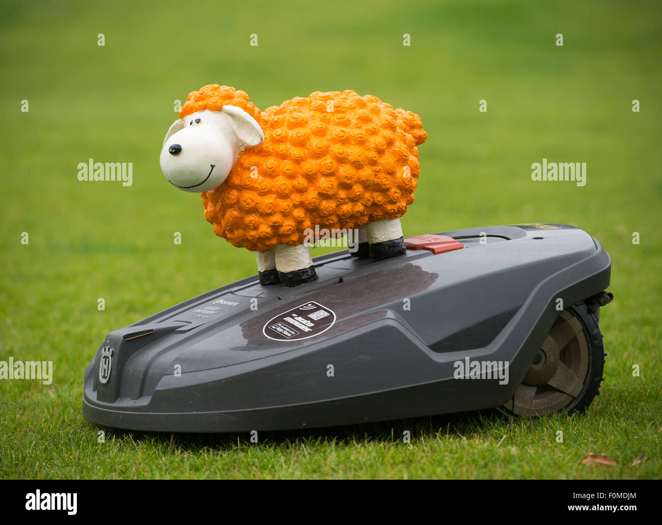 Eine orange Modell Schafe auf einem Rasen-Roboter auf einer Wiese vor dem  Hasso-Plattner-Institut in POtsdam, Deutschland, 17. August 2015. FOTO:  PATRICK PLEUL Stockfotografie - Alamy