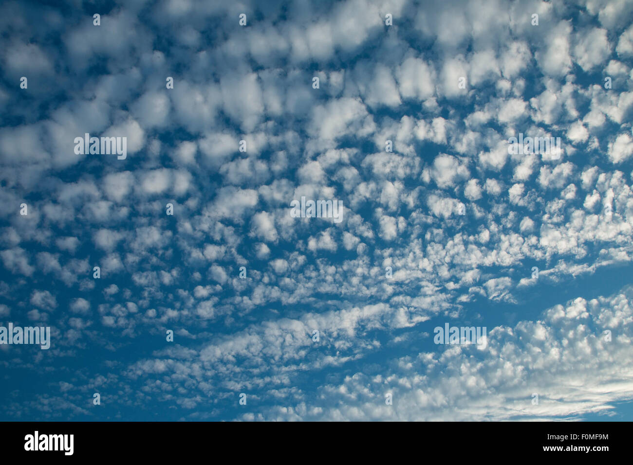 Wolkenbildung, allgemein bekannt als Makrele oder Buttermilch Himmel Stockfoto