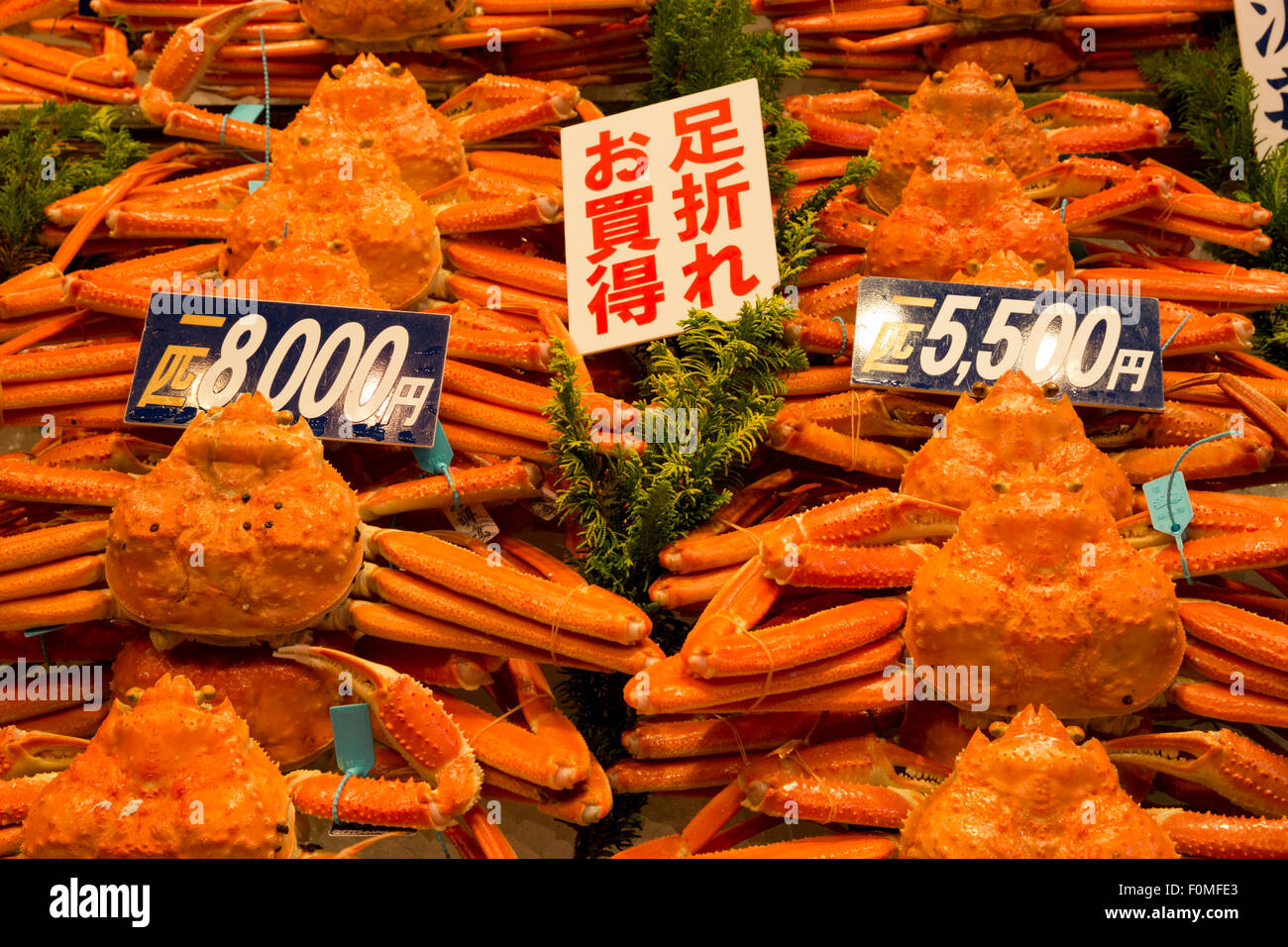 Kanou-Gani (männliche Seespinne), Omicho Markt, Kanazawa, Präfektur Ishikawa, zentralen Honshu, Japan, Asien Stockfoto