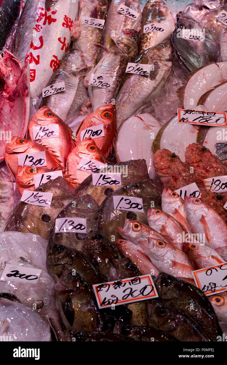 Frische Meeresfrüchte, Omicho Markt, Kanazawa, Präfektur Ishikawa, zentralen Honshu, Japan, Asien Stockfoto