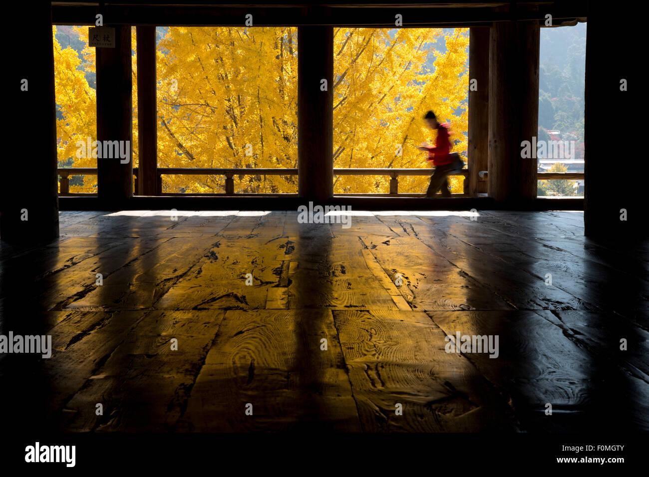 Gelb, die herbstlichen Blätter von innen Toyokuni-Schrein, Insel Miyajima, westlichen Honshu, Japan, Asien betrachtet Stockfoto