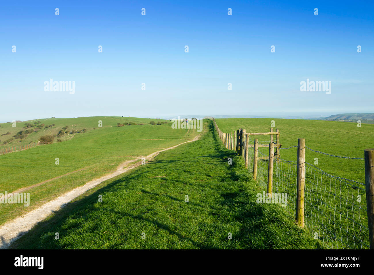 Der South Downs Way Wanderweg in der Nähe von Brighton, East Sussex, England, Großbritannien Stockfoto